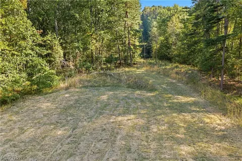 Other - 202 Mount Carmel Rd, Walker, WV 26180 photo 18 of 23
