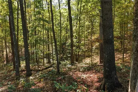 Other - 202 Mount Carmel Rd, Walker, WV 26180 photo 14 of 23