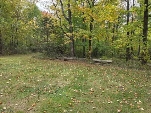 Exterior - 10057 Thwing Rd, Chardon, OH 44024 photo 18 of 19