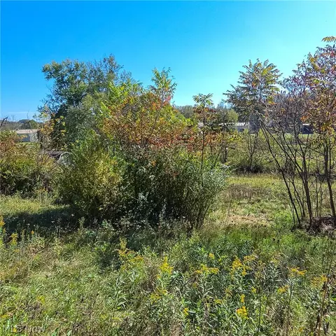 Exterior - 43650 Lafferty Rd, Flushing, OH 43977 photo 6 of 8