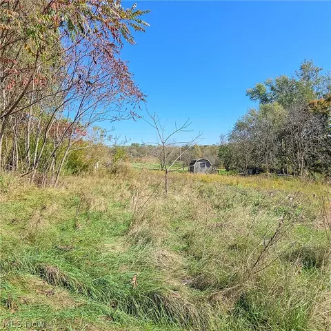 Other - 43650 Lafferty Rd, Flushing, OH 43977 photo 15 of 17