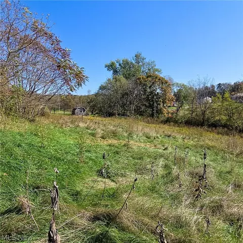 Other - 43650 Lafferty Rd, Flushing, OH 43977 photo 11 of 17
