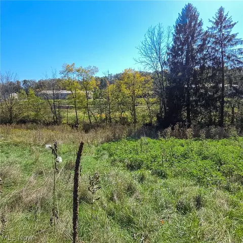 Other - 43650 Lafferty Rd, Flushing, OH 43977 photo 14 of 17
