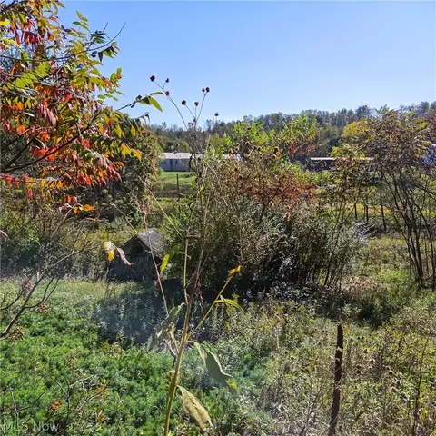 Other - 43650 Lafferty Rd, Flushing, OH 43977 photo 12 of 17