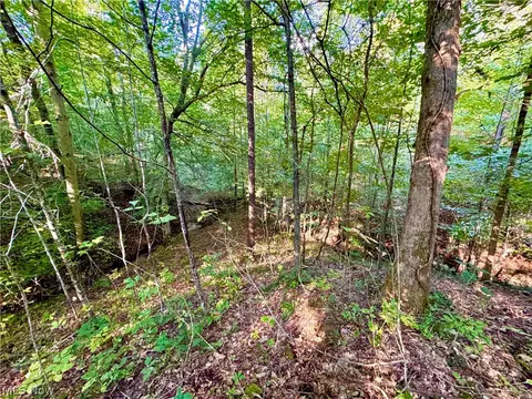 Virginia Ridge Road, Philo, OH 43771 photo 40