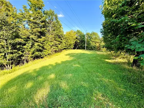 Virginia Ridge Road, Philo, OH 43771 photo 36