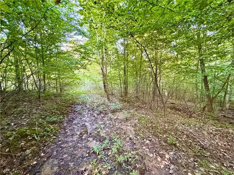 Virginia Ridge Road, Philo, OH 43771 photo 39