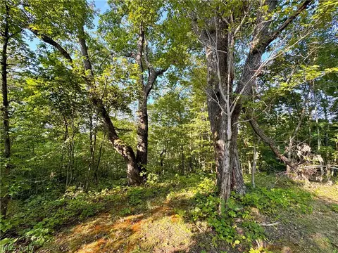 Virginia Ridge Road, Philo, OH 43771 photo 14