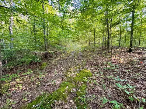 Virginia Ridge Road, Philo, OH 43771 photo 43