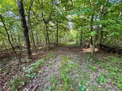 Virginia Ridge Road, Philo, OH 43771 photo 45