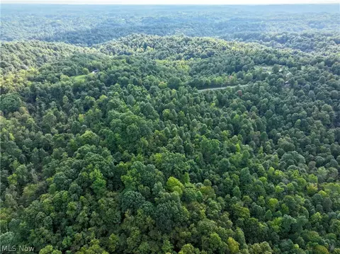 Virginia Ridge Road, Philo, OH 43771 photo 25