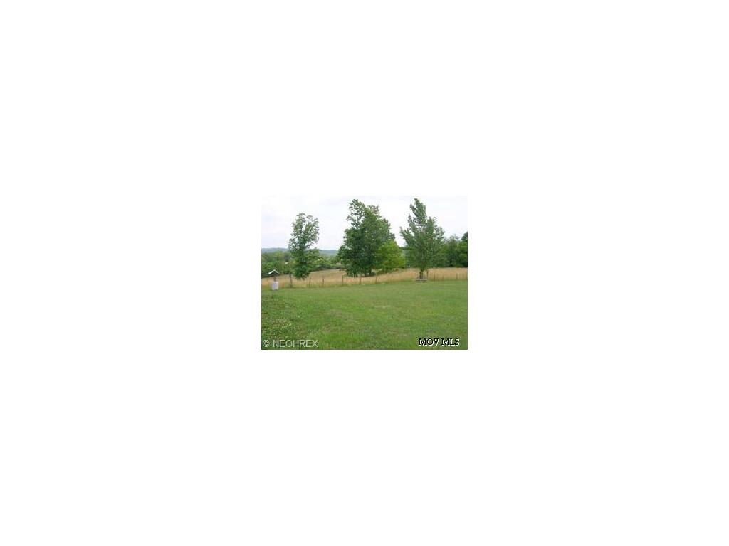 8370 Walker Rd, Walker, WV 26180 photo 8