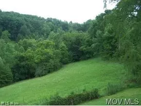 Undisclosed, Walton, WV 25286 photo 11