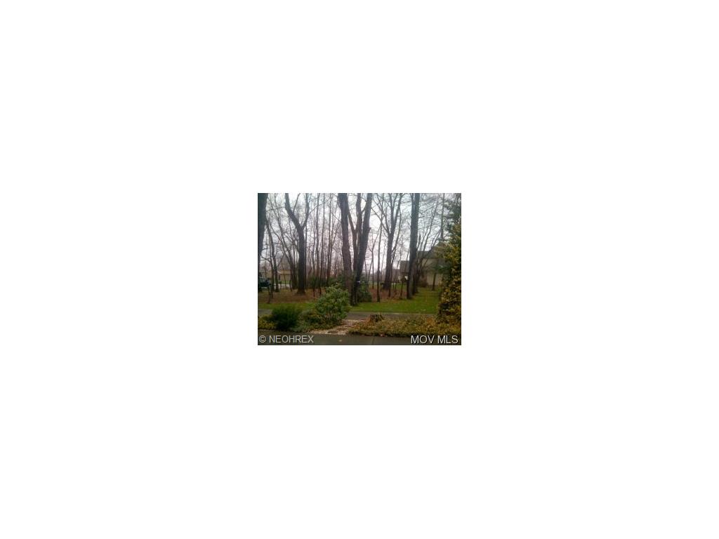 159 N Pine St, Williamstown, WV 26187 photo 3