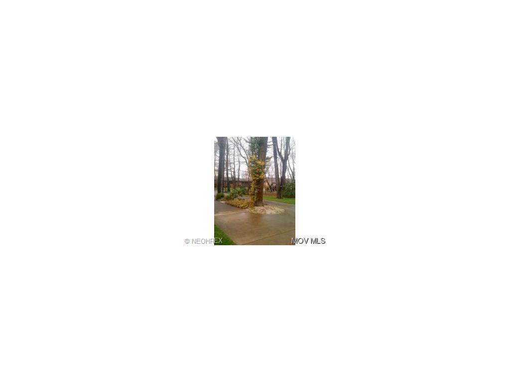159 N Pine St, Williamstown, WV 26187 photo 4