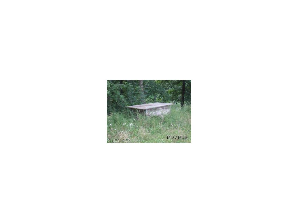 1547 Riser Rdg, Walker, WV 26180 photo 5