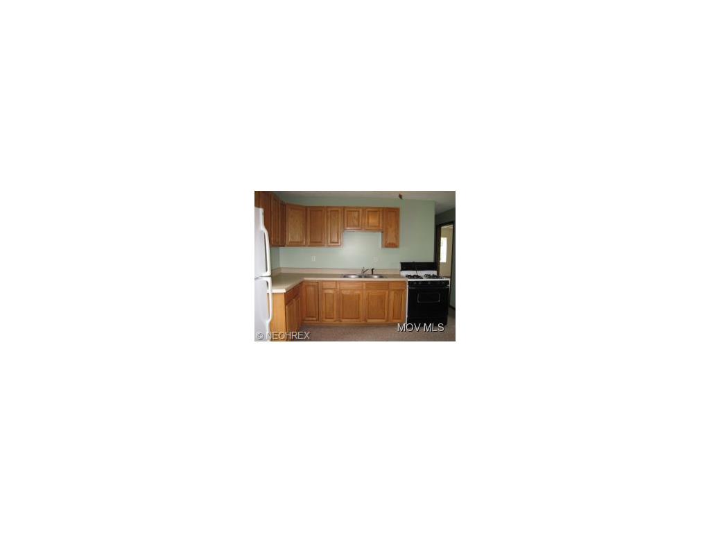 4625 Barnett Ridge Rd, Fleming, OH 45729 photo 11