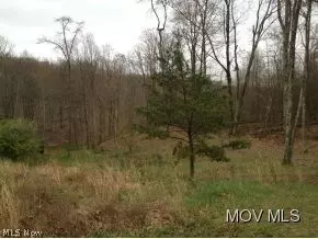 1404 Jericho Rd, Walker, WV 26180 photo 6