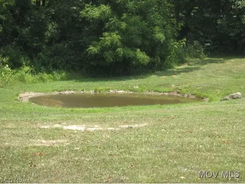 816 Buckner Bend Rd, Walker, WV 26180 photo 19