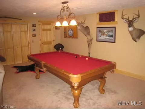 816 Buckner Bend Rd, Walker, WV 26180 photo 17