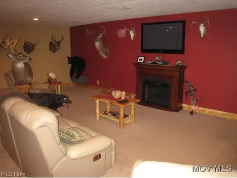 816 Buckner Bend Rd, Walker, WV 26180 photo 16