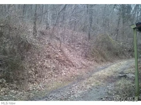 20290 Rt 60, Beverly, OH 45715 photo 6