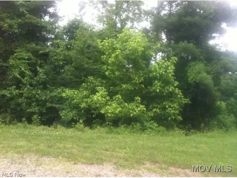lot9 James Rd, Fleming, OH 45729 photo 1
