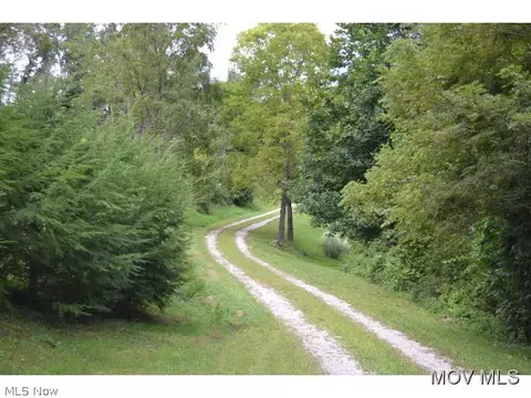 5969 Walker Rd, Walker, WV 26180 photo 3