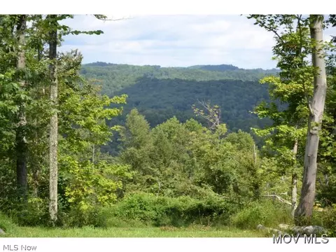 5969 Walker Rd, Walker, WV 26180 photo 2