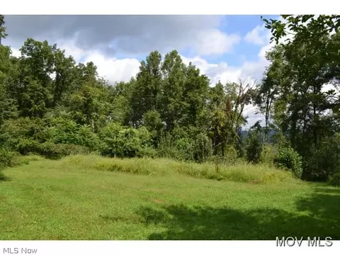 5969 Walker Rd, Walker, WV 26180 photo 16