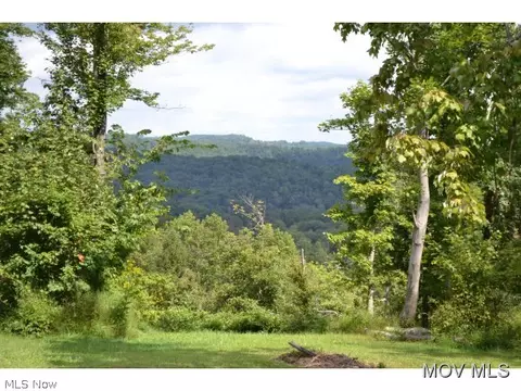 5969 Walker Rd, Walker, WV 26180 photo 5
