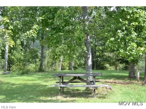 5969 Walker Rd, Walker, WV 26180 photo 18