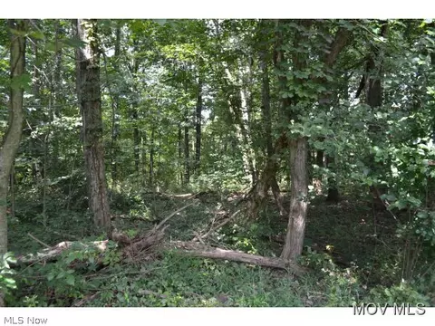 5969 Walker Rd, Walker, WV 26180 photo 17