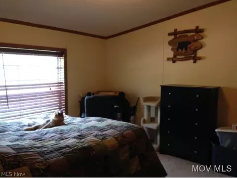 8072 Walker Rd, Walker, WV 26180 photo 8