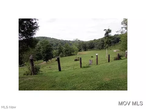 350 Fall Run Rd, Walker, WV 26180 photo 5