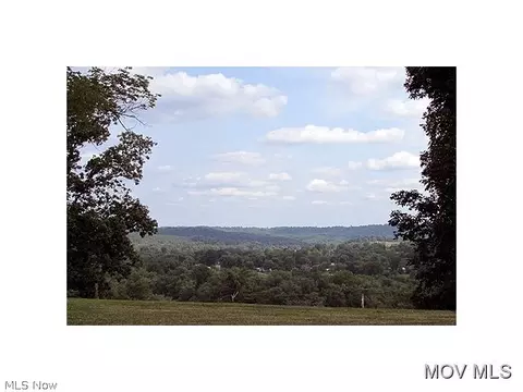 350 Fall Run Rd, Walker, WV 26180 photo 23