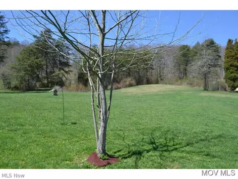 34 Deer Run Rd, Walker, WV 26180 photo 4