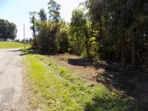 0 Maple Dr, Bridgeport, OH 43912