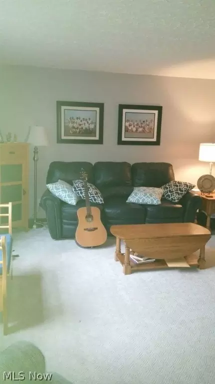 128 Logan Ct, Bethany, WV 26032 photo 13