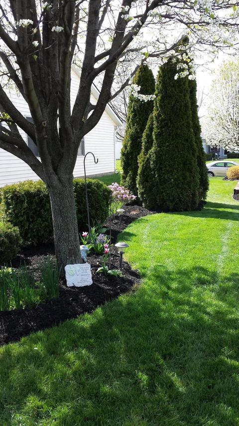 1233 Turner Dr, Sidney, OH 45365 photo 20