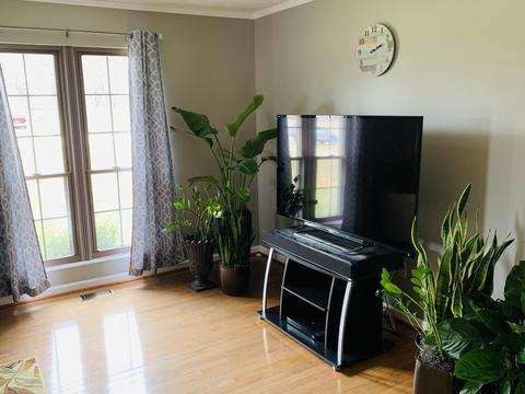 6515 Manete St, Springfield, OH 45502 photo 22