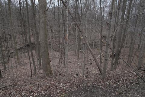 17255 State Route 47, Sidney, OH 45365 photo 31