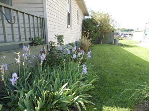 2706 Maplewood Ave, Springfield, OH 45505 photo 5
