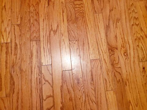 3913 Delmar Cir, Springfield, OH 45503 photo 20