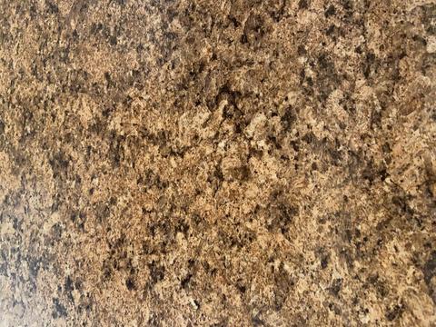 520 Archer Ln, Springfield, OH 45503 photo 9