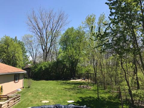 3685 Calhoun Dr, Springfield, OH 45505 photo 42