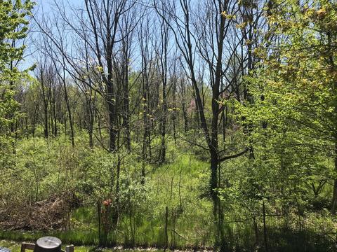 3685 Calhoun Dr, Springfield, OH 45505 photo 40