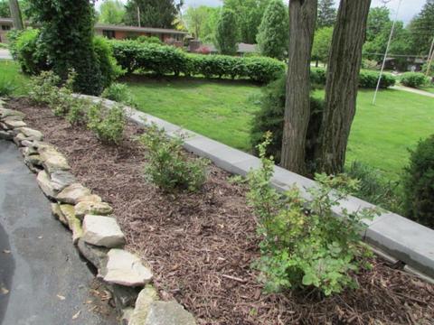 710 W Home Rd, Springfield, OH 45504 photo 66
