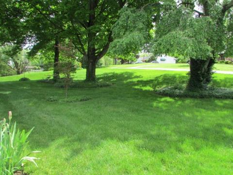 710 W Home Rd, Springfield, OH 45504 photo 68