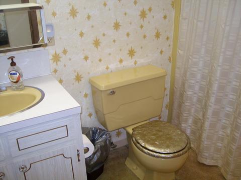 700 Fleck Ave, Celina, OH 45822 photo 18